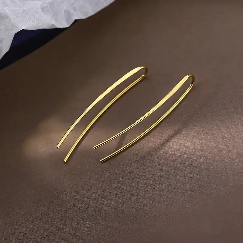 Brass Earrings